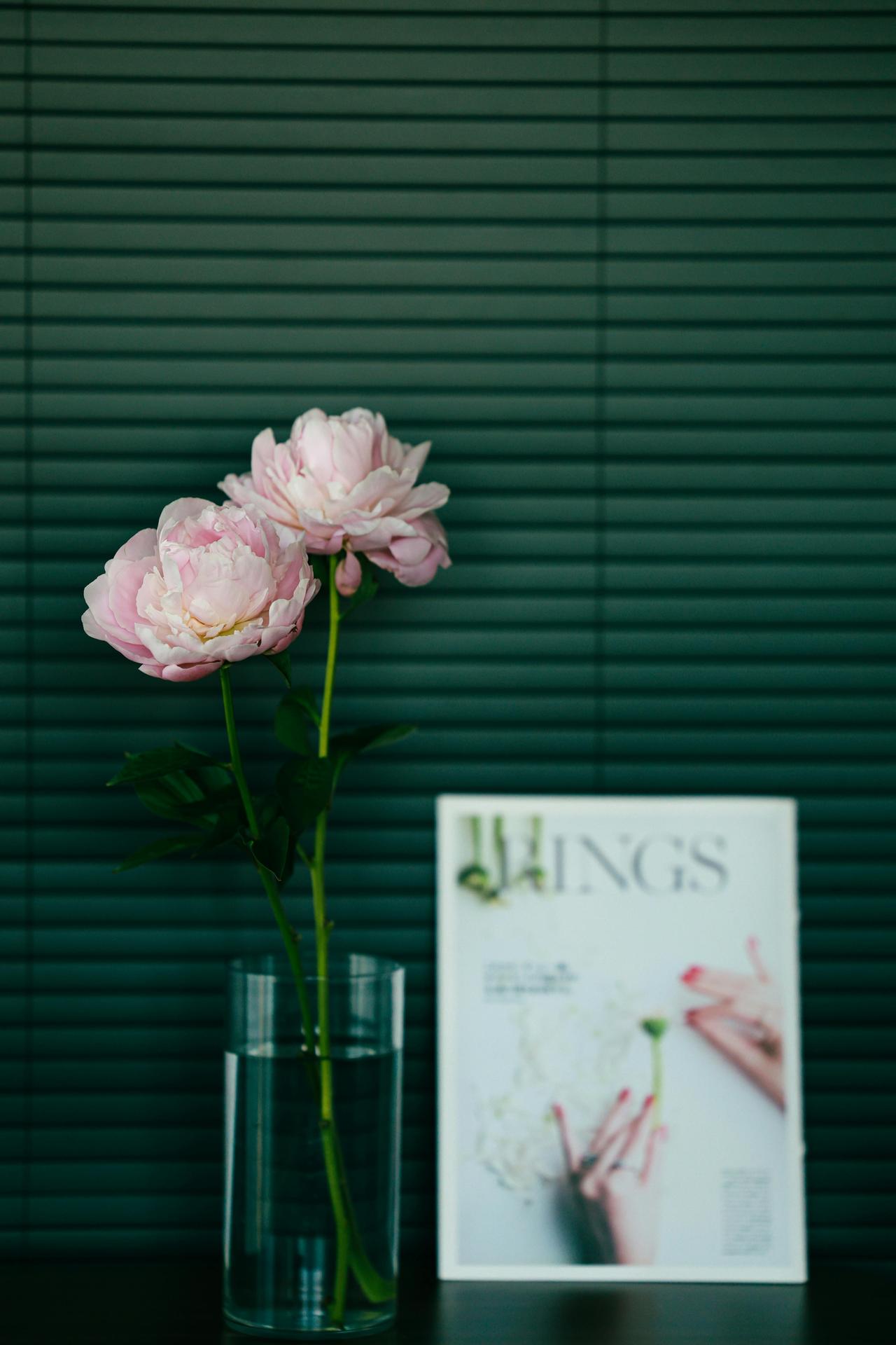 杨绛先生说：“你之所以痛苦，是因为你太较真了！你之所以迷茫，是因为你太计较得失了