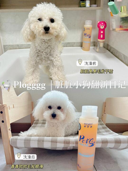 在家就可以轻松给狗狗🐶洗澡啦！！