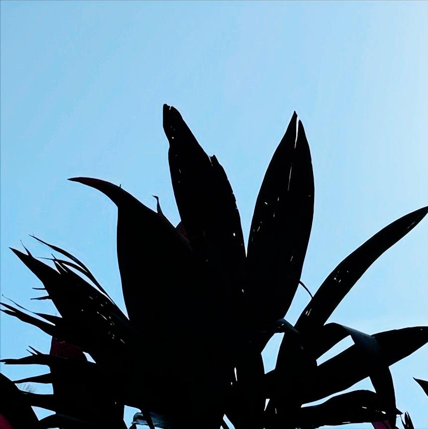 信息  关于内江市原官员的 今天，一则关于该市人大原官员的信息传递出。 