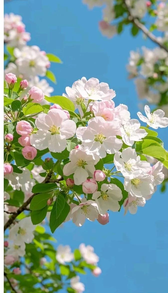 刚在手机上刷到个消息，后背瞬间冒冷汗！性病专家抛出个重磅结论：艾滋病最高发