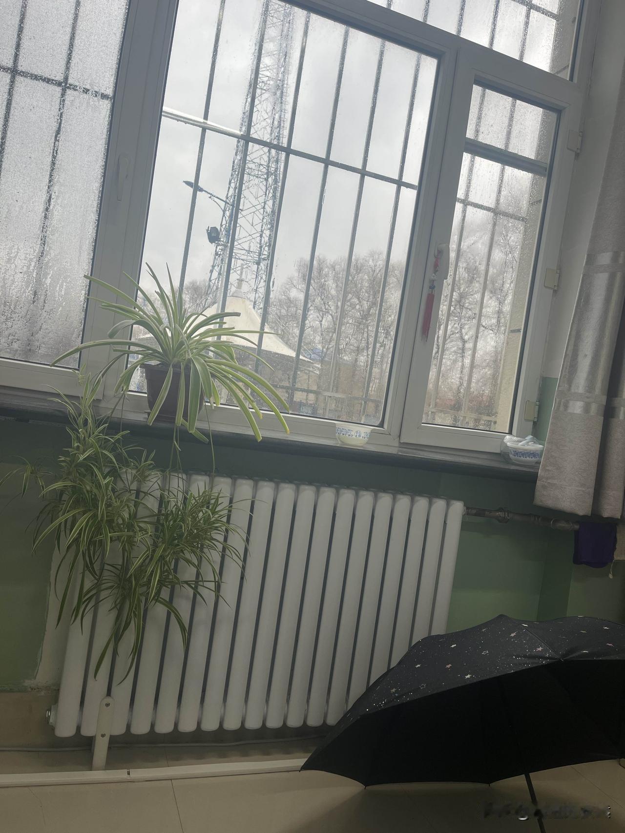 东北2026年第一场雨🌧️正赶上孩子中午上学，我和孩子打着雨伞🌂也浇湿了。