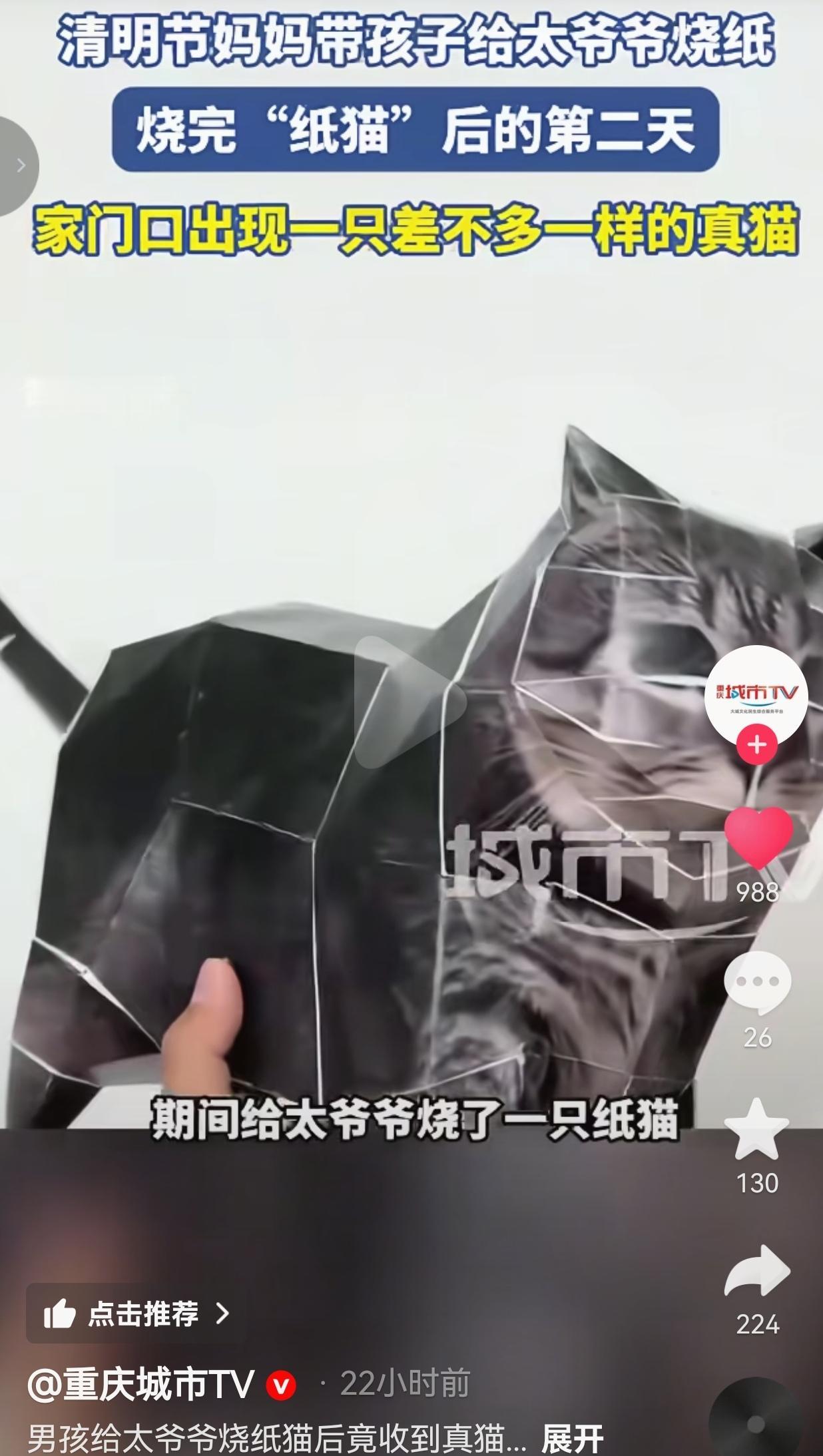 破防到泪崩！安徽界首一个13岁男孩，清明给太爷爷烧了只纸猫，结果第二天家门口，居