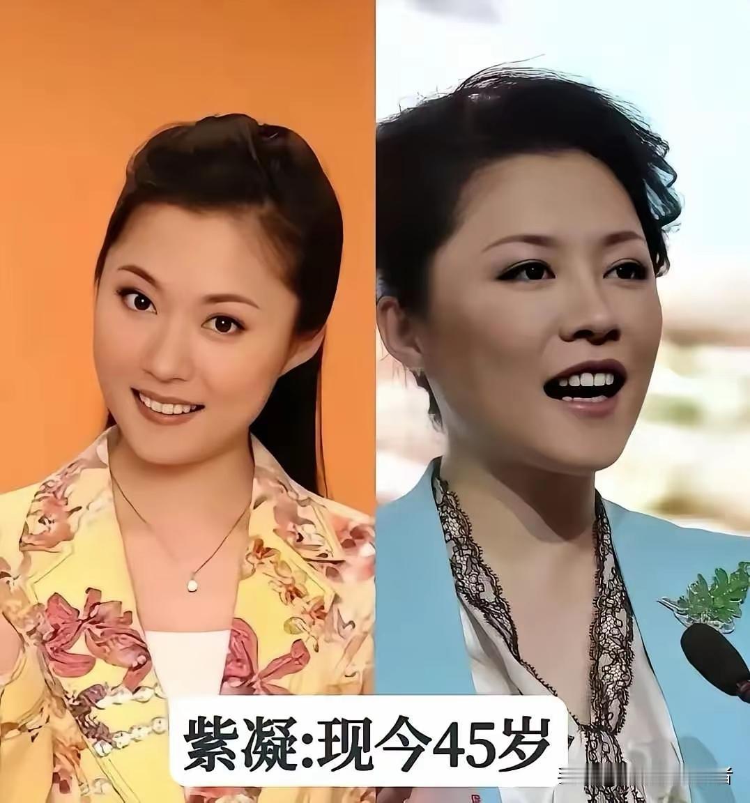 颜值才华兼备。央视主持人紫凝，以其出色的才华和美貌，被誉为不输李思思和董卿。尽