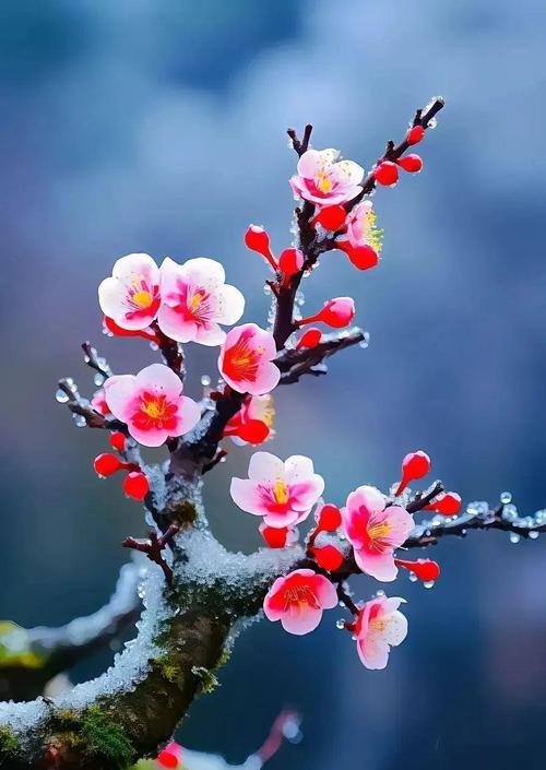 今天是重阳节，是晚重阳，百年难遇。当我们翻开老一辈人传下来的这些民间谚语，似乎能