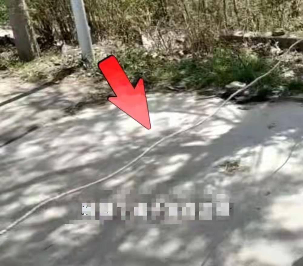 网友为遭绳锁喉重伤男孩筹款超50万元，村主任称肇事方为七旬老人，又给伤者送去2万