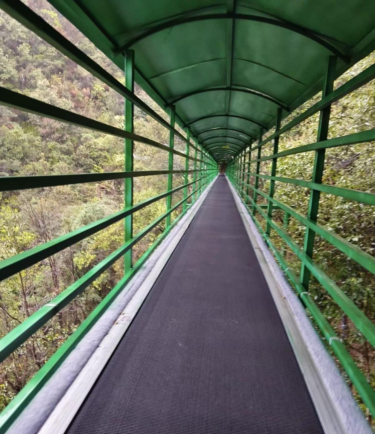 杭州千岛湖森林氧吧杭州千岛湖森林氧吧森林氧吧