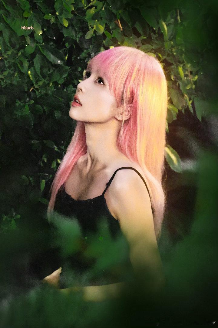 白鹿🦌工作室希望大家尊重白鹿的选择🥀白鹿王韵娜你是光折射进我世界让热烈点缀