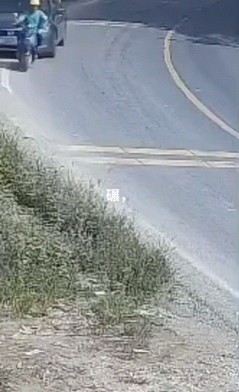 这司机什么情况？