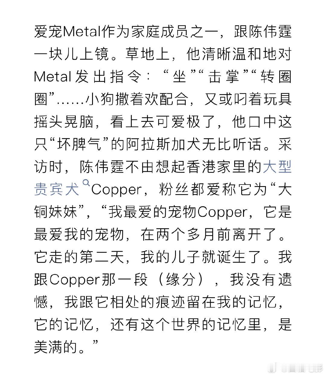 陈伟霆的狗在儿子诞生前一天离开了陈伟霆爱宠去世第二天儿子诞生陈伟霆的狗在儿子诞