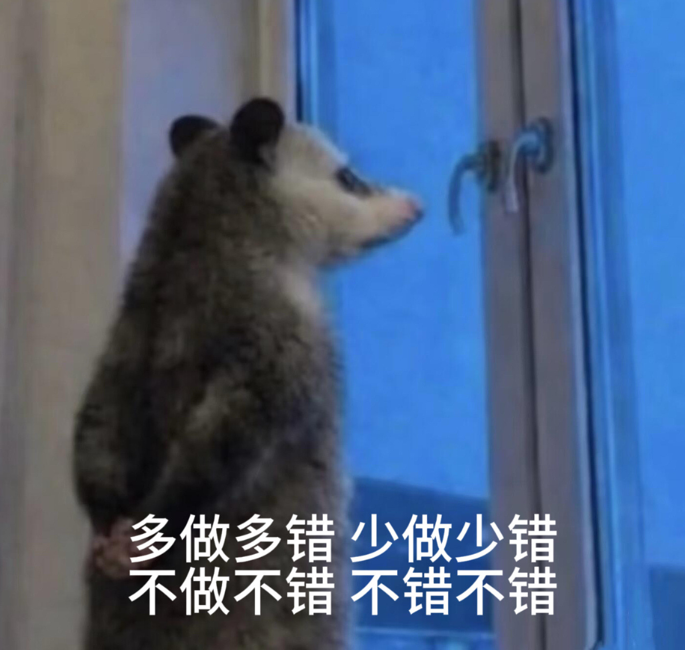 上班心情如图：负鼠表情包