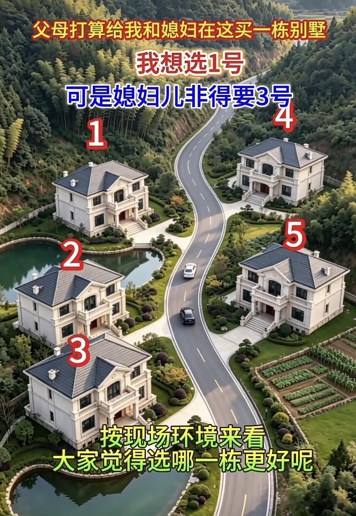 父母打算给我和媳妇在这买一栋别墅🏡，我想选1号，可是媳姐儿非得要3号。按