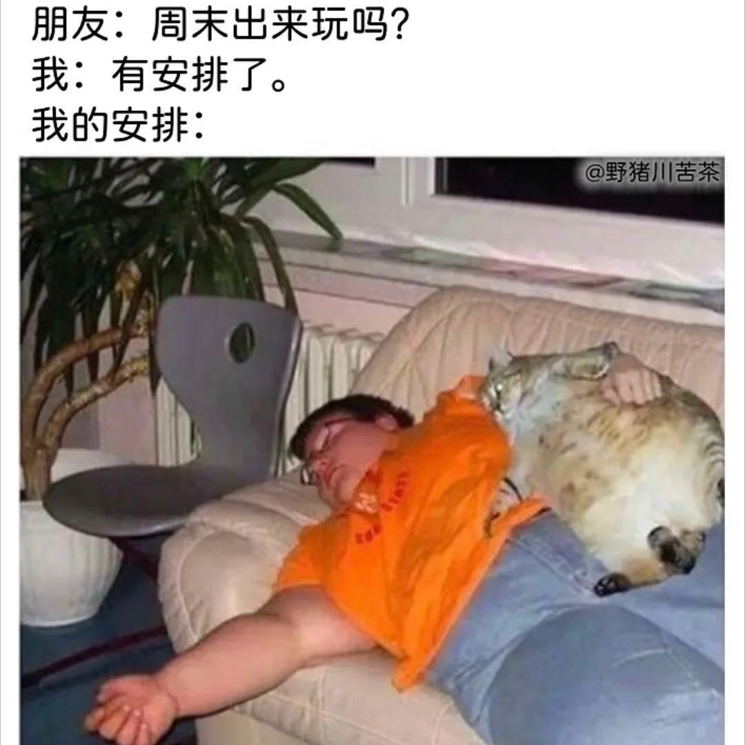 周末计划vs实际周末计划表规划得有多完美，周末摆烂就有多彻底😜立志早起看书做健