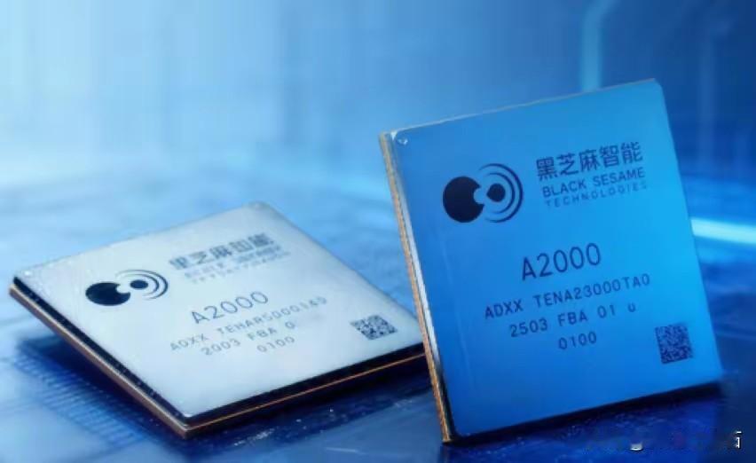 国产自研又有好消息！1月4日，黑芝麻智能的华山A2000芯片通过美国审查，能在全