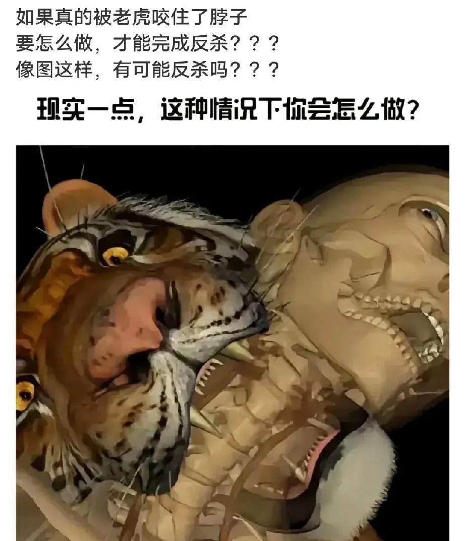 这个时候，要怎么做？