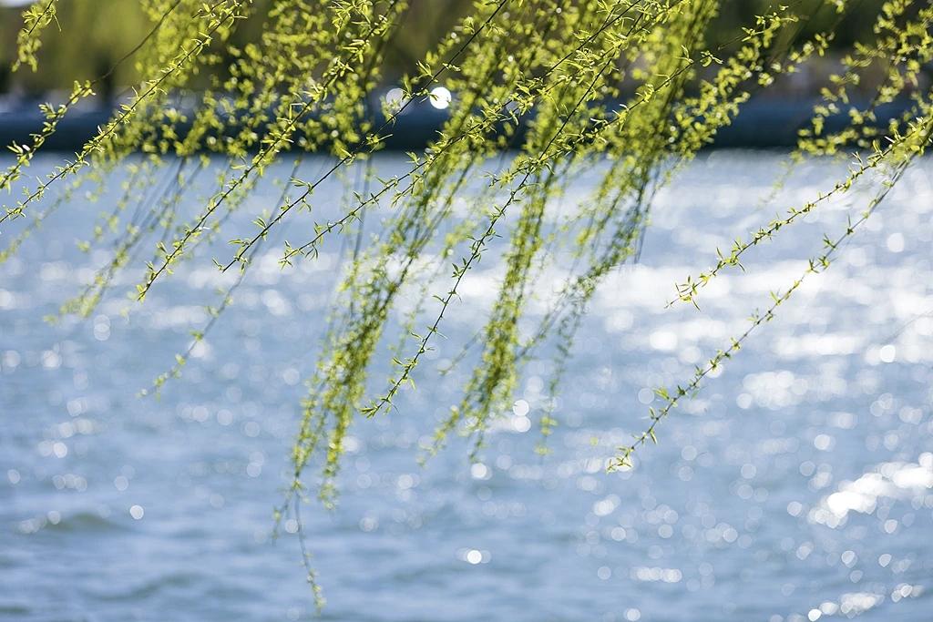 如今，地球上正在进行两场，不同时空的战争。俄乌战争，已经打成了一战、二战形式的阵