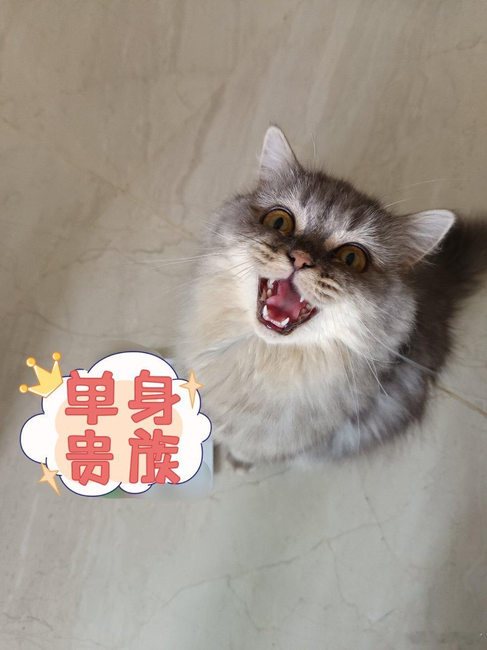 怀孕的身体红利都不让说倒反天罡的话题吧，怀孕风险以及对身体的摧残，怎么能用个例来