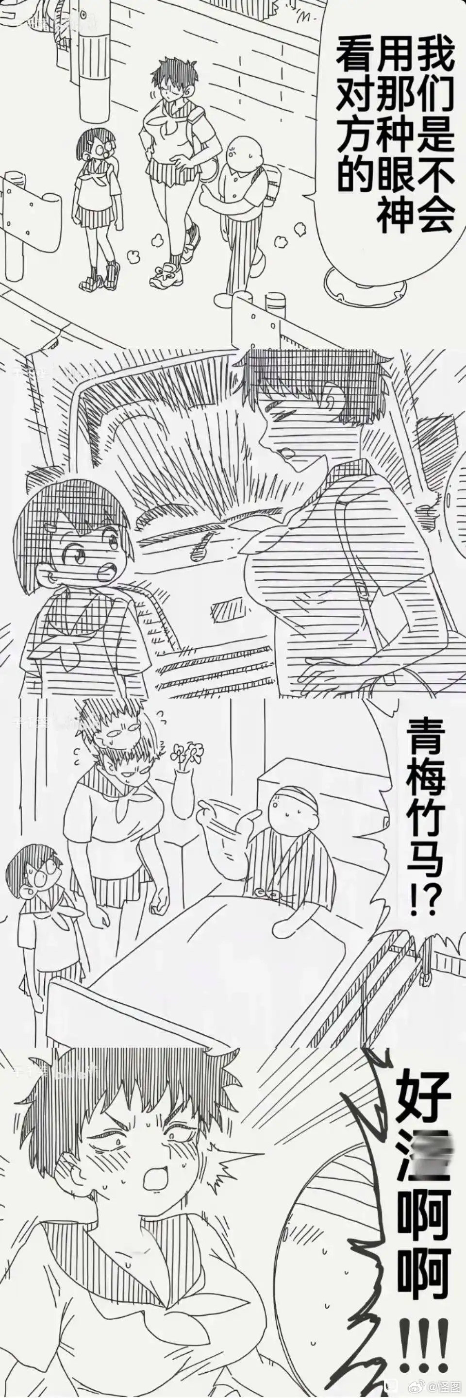 卤蛋失忆后对青梅是真实坦率