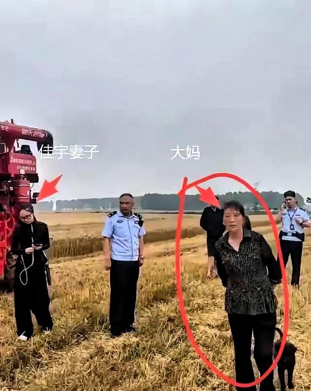 这下咱们可算是见识到什么叫“割四赔五”了。河南一对小夫妻开着收割机，大老远跑