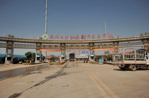 从白沙洲农贸市场到青山区武汉高铁站坐公交怎