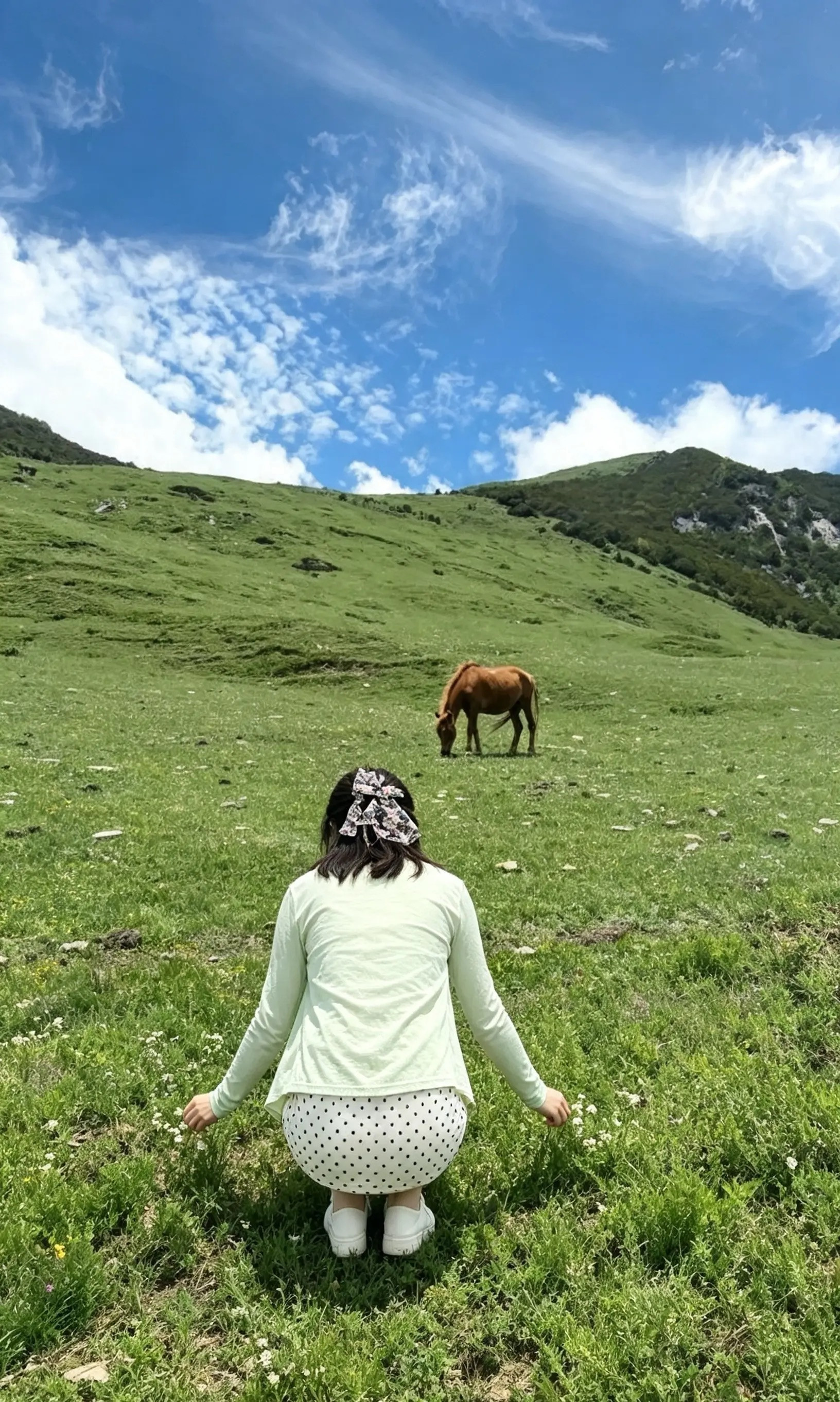 清新