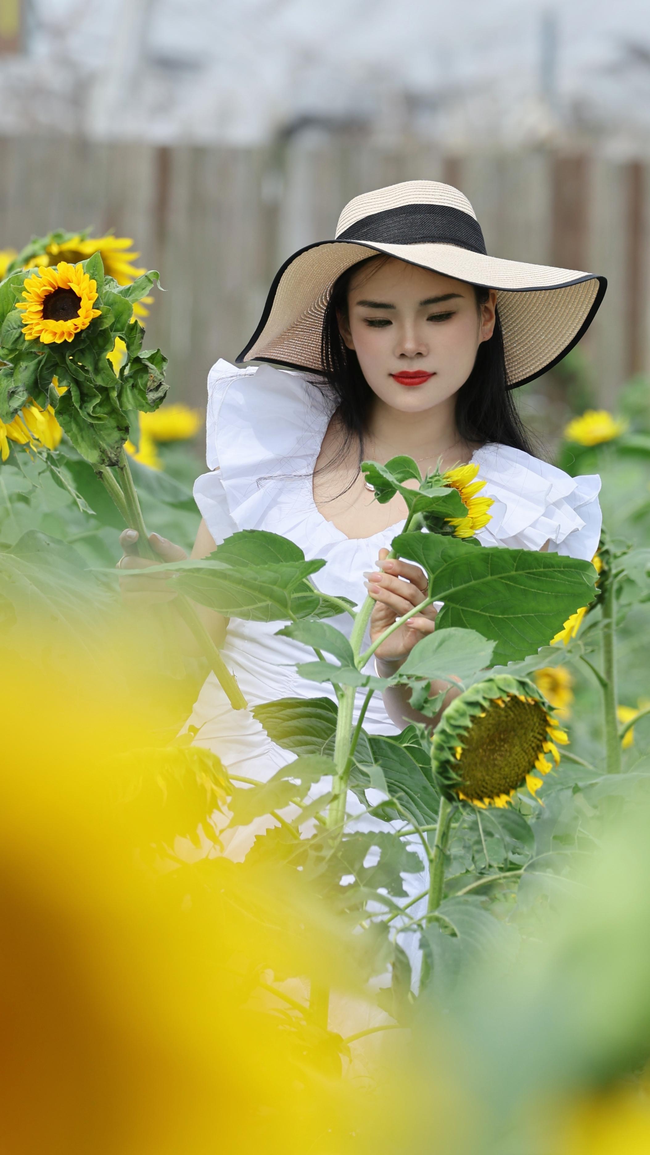 花海拍照 定格美好瞬间 摄影写真 美不美你说了算