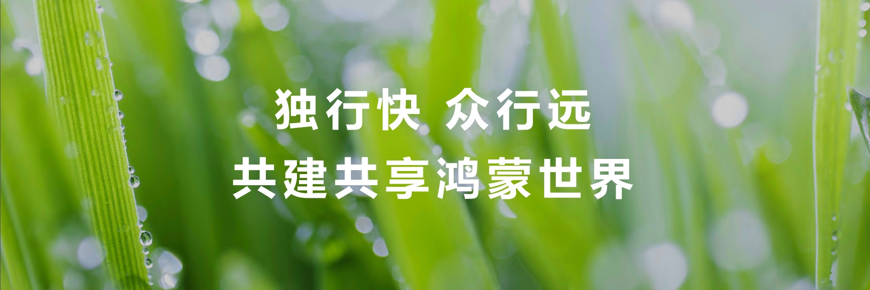 今年的HDC2026大会上，余总那句""鸿蒙新故事我们一起写""还在耳边回响，