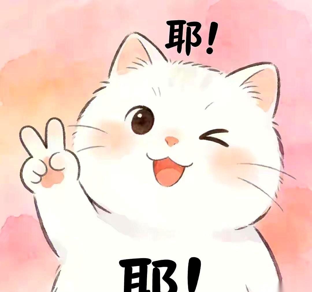 就来做个产检，医生看完单子，抬头就一句：住院吧。我还没反应过来，冰凉的针头已经