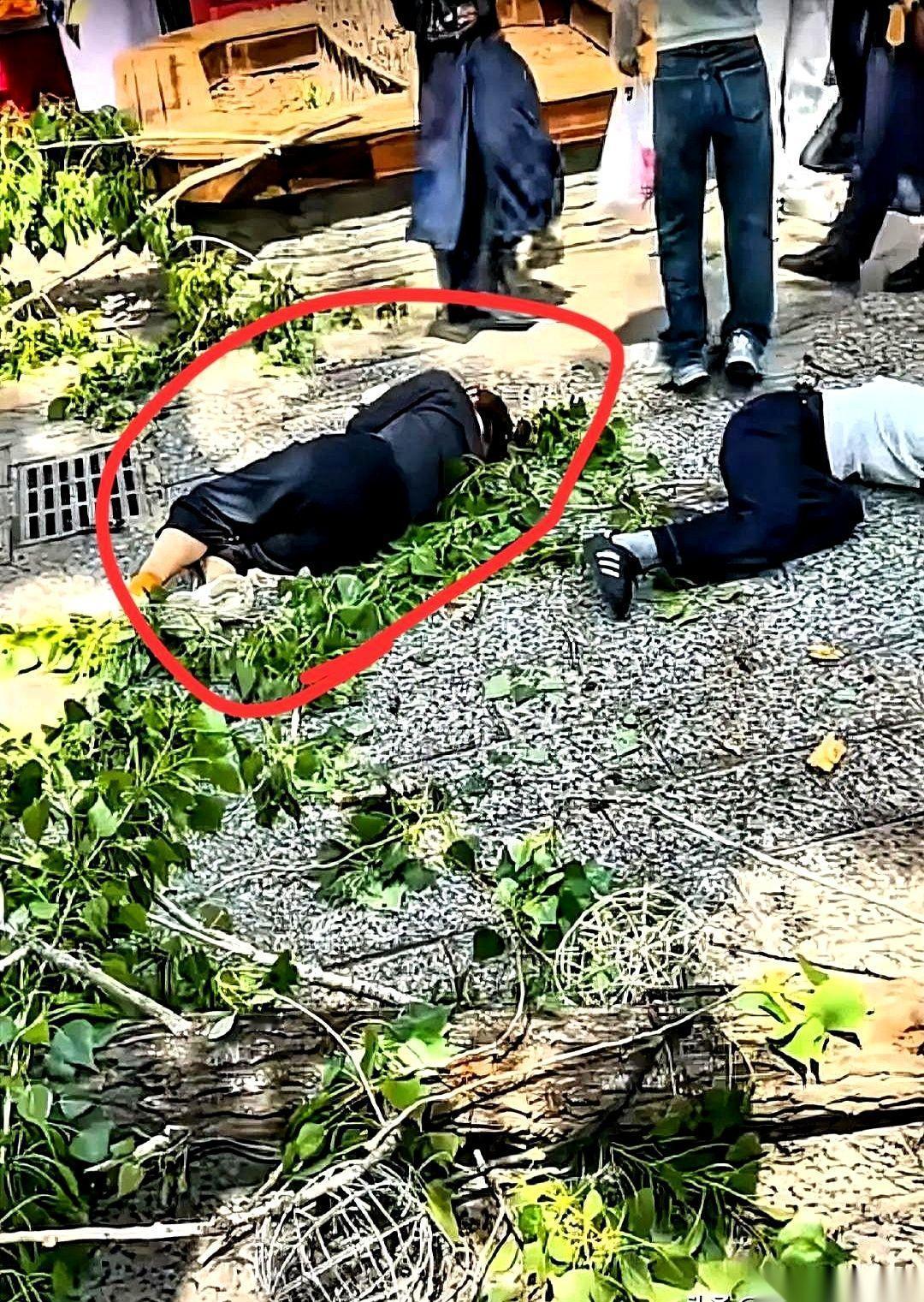 开封万岁山景区的武侠梦，被一根毫无征兆砸下的枯树枝，瞬间砸了个粉碎。当时，几个