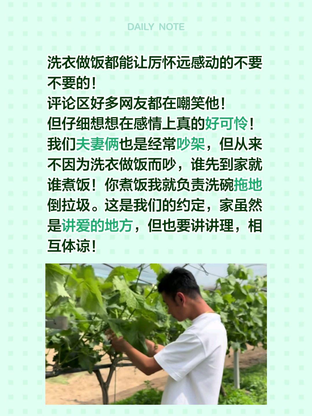 为什么洗衣做饭能感动厉怀远？洗衣做饭都能让厉怀远感动的不要不要的！评论区好多网