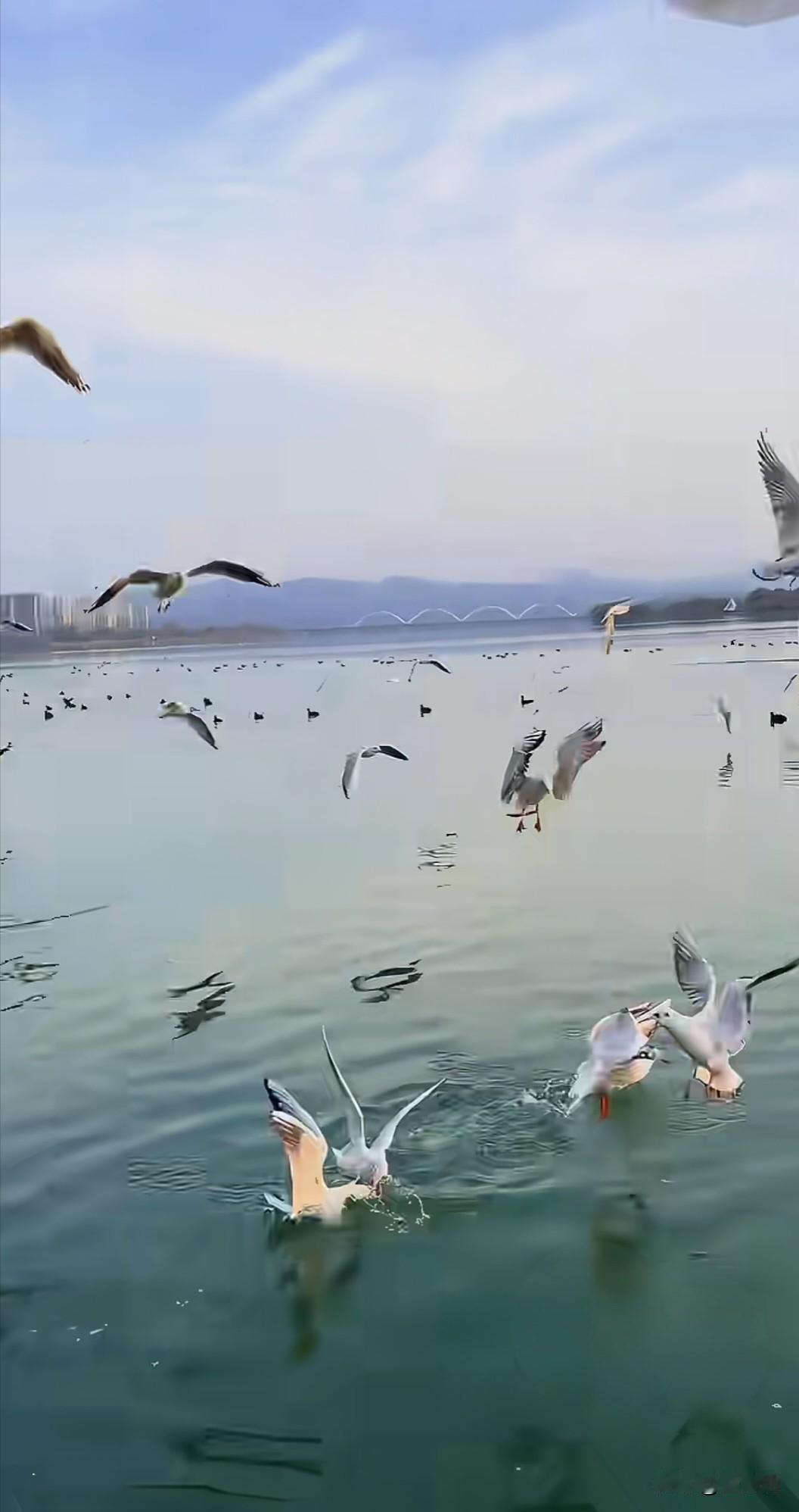 顶级的聪明人，会做这9件事一、无论什么关系，都记住两点：少说话，少管事。二、
