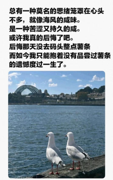 总有一种莫名的思绪笼罩在心头