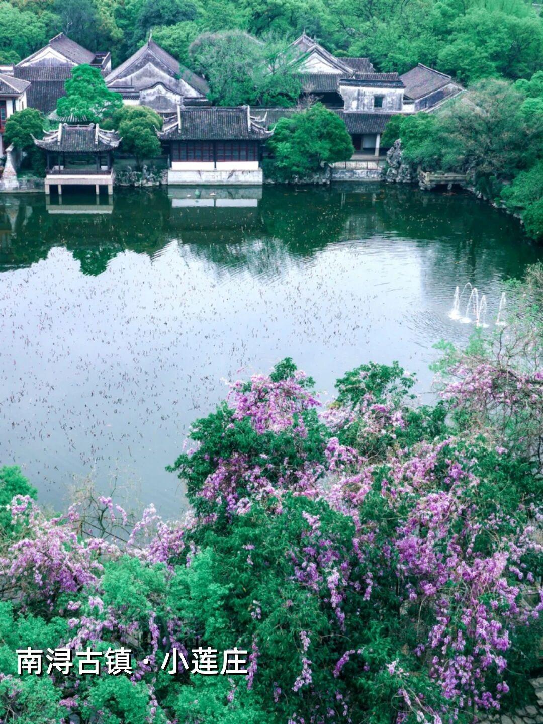 跟着春天的脚步一路向南吧——从太湖之畔的水乡启程，在千年古镇听流水潺潺；一路行摄