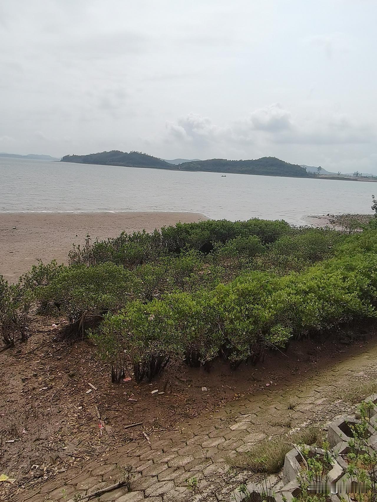 七律·砥志研思书山万叠云遮径，欲上巅峰唯苦勤。三径晨光裁旧卷，半窗残烛淬