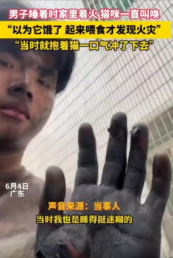 太有灵性了！广东，男子正在睡觉，猫咪却在旁边狂叫不止，男子不耐烦的拿来猫粮，却意