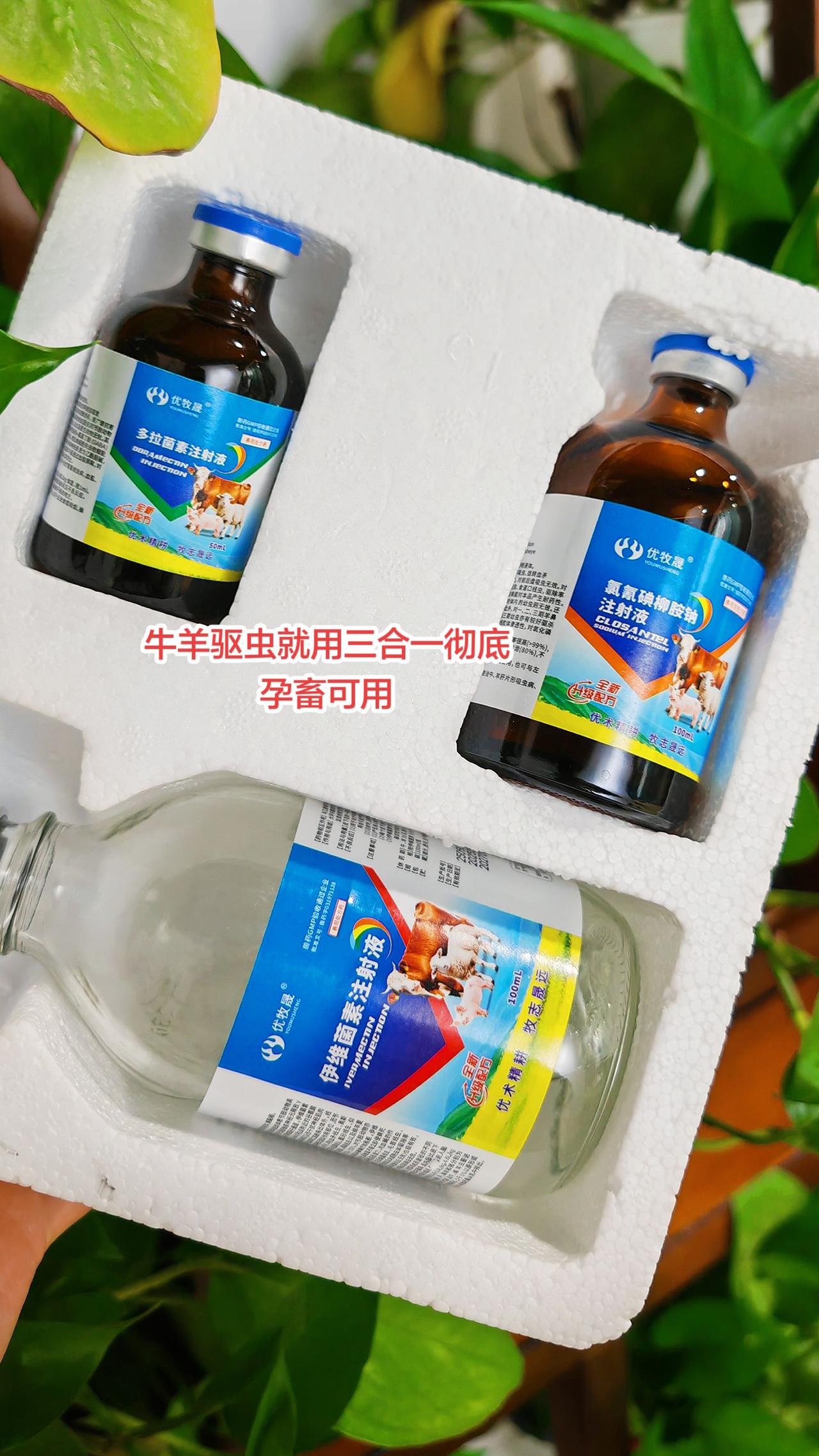 养羊人牛羊驱虫农村养羊