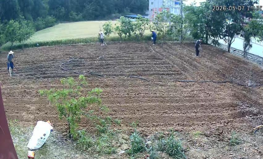 “远亲不如近邻！”四川一女子送妈妈去市里住院，检查完后妈妈催她回去，将门前的留的