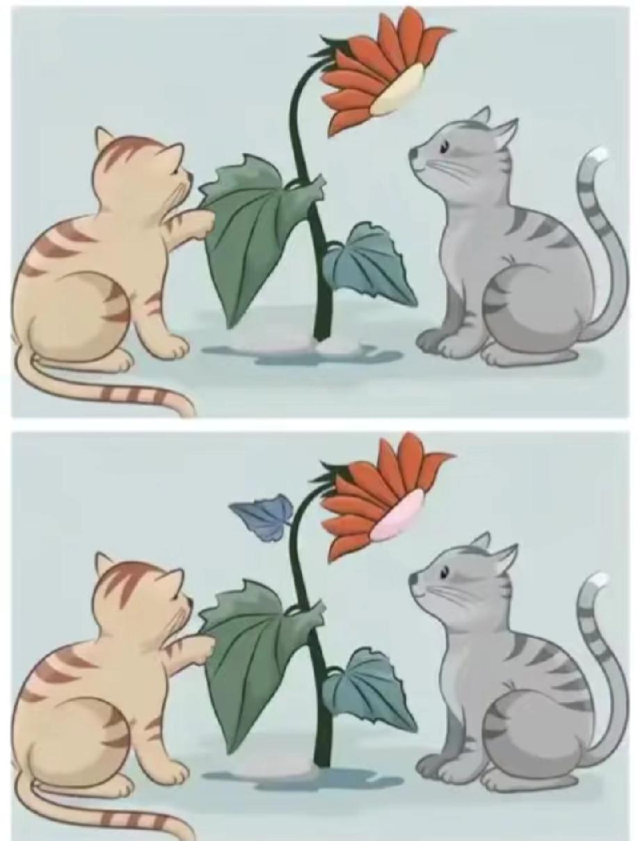第一眼看懵！这组猫咪插画的差异在哪？我找了3分钟只看出1处，有大神能全找齐吗？