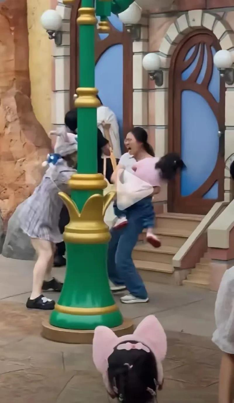 上海迪士尼这个打架事件，其实双方都不无辜！一个巴掌拍不响，兔子头骂人，孩子爸先