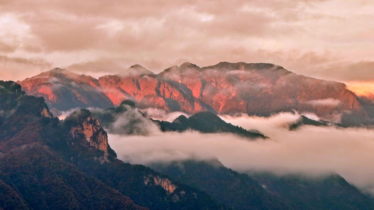 初冬神农架：日照金山的笔墨长卷初冬的神农架，是大自然挥毫的写意长卷，而日照