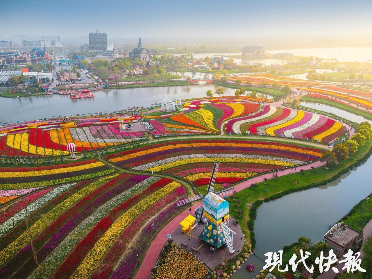 脚外花海在江苏盐城大丰新丰镇，是国家4A级景区，以郁金香花海与风车景观闻名。