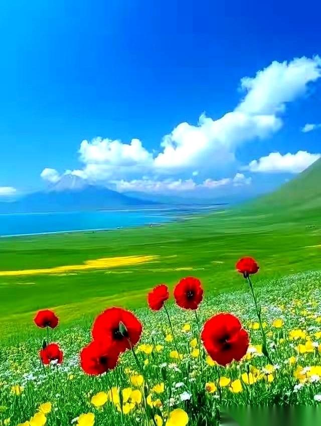 我的股票账户，打开，就一行。一个代码，一只股。对，这么多年，就这一只。你们