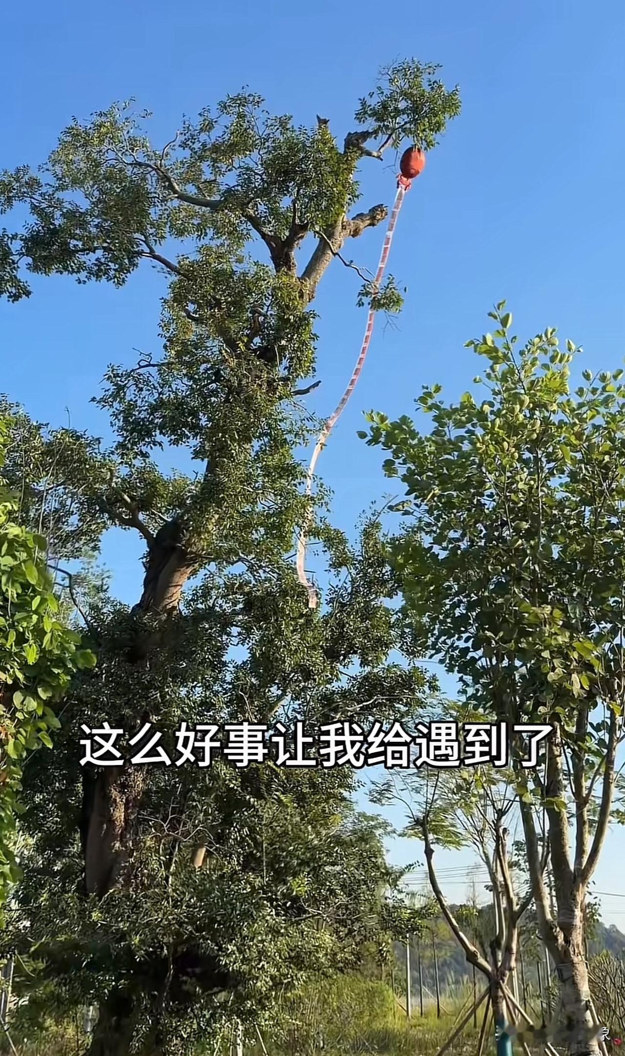 我去，真是飞来的横财[笑着哭]