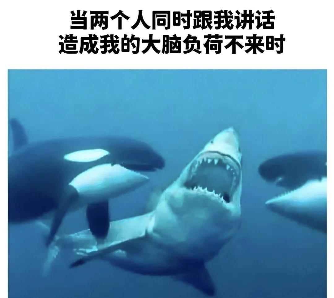 公司的电脑如图meme图集合梗图此图有梗我的工作状态人间真实