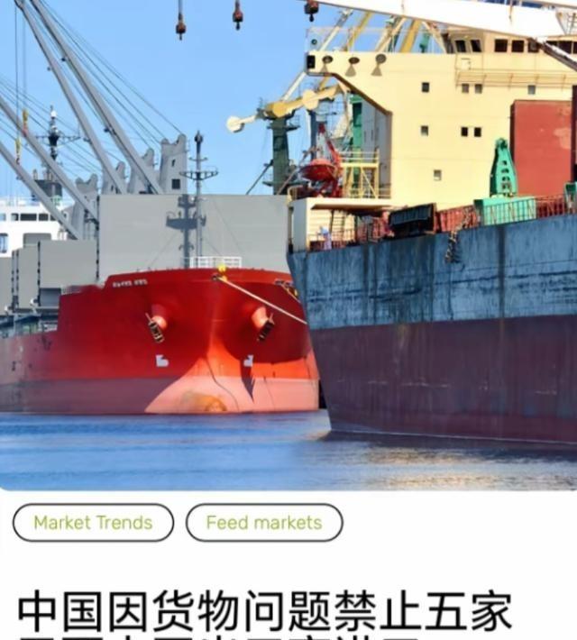 真是扶不起的阿斗！与美国同样卖大豆给中国的巴西，现在应该醒目一点才是，但是据路透