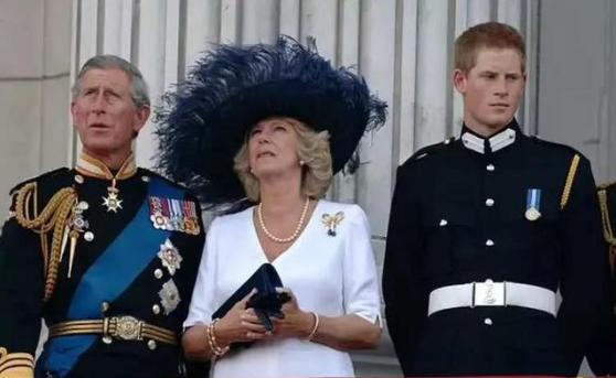 和卡米拉王后不对付的3个人，如今境遇一个比一个糟糕，现在轮到了安德鲁王子。戴安