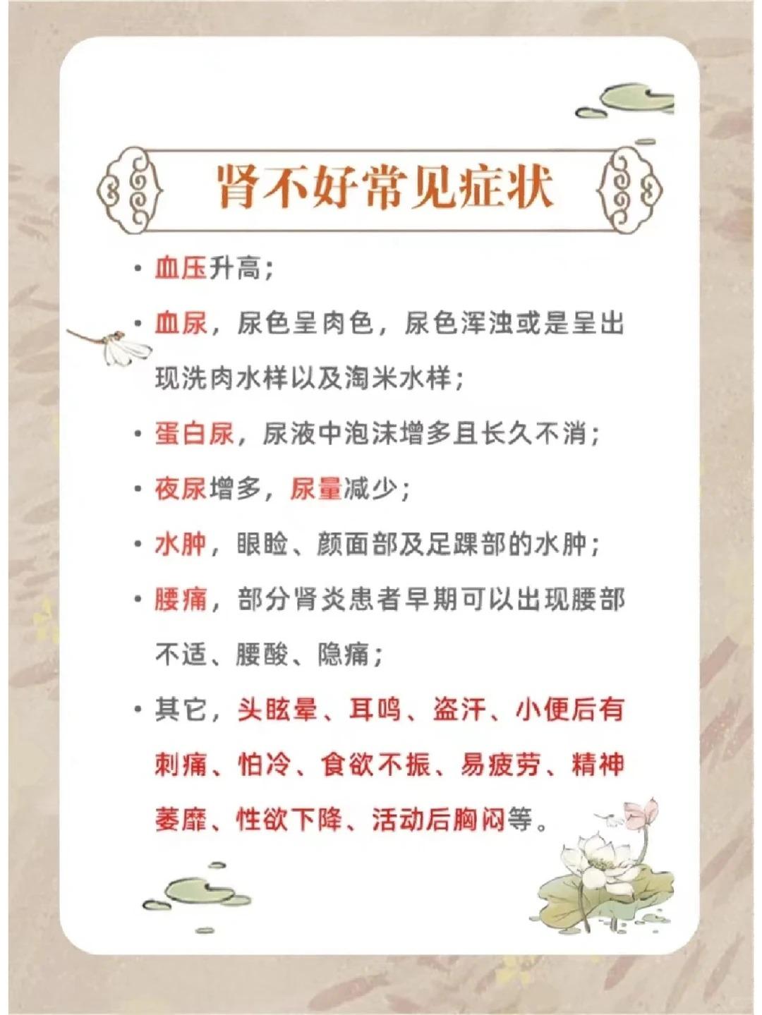 肾不好的常见症状有哪些