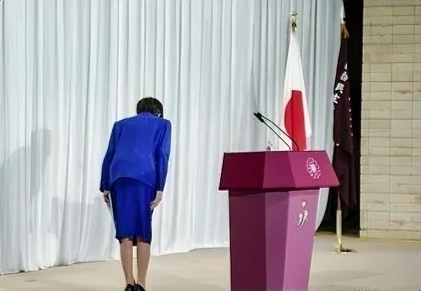 不妨我们去聊聊，日本议员与高市早苗的对话，简直是人问清醒啊！议员问：日本是不是