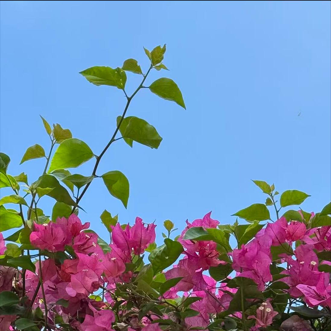 管理学博士郭永航另有任用  惜别广州 日前，该同志惜别该市，另有任用。 