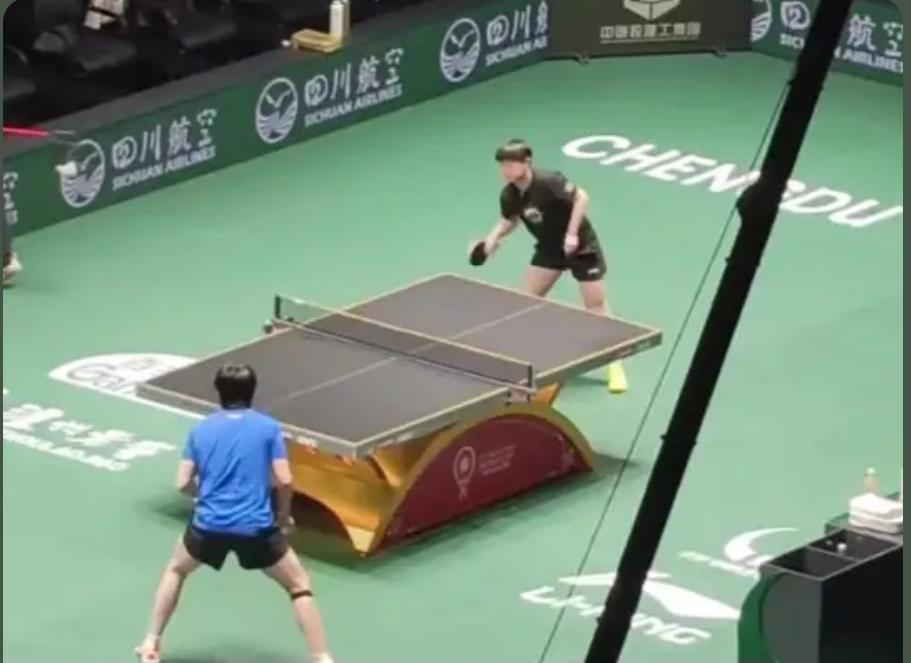 孙颖莎和王楚钦同框了，这是新鲜热乎乎的对练，好久不见这场面了，球迷又沸腾了。莎