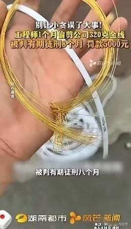 工程师偷金线这事，我看完第一反应不是骂他傻，而是替他后背发凉。每天剪3-5厘米